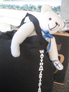 Arttu in my schoolback. Everyone was so excited about him!