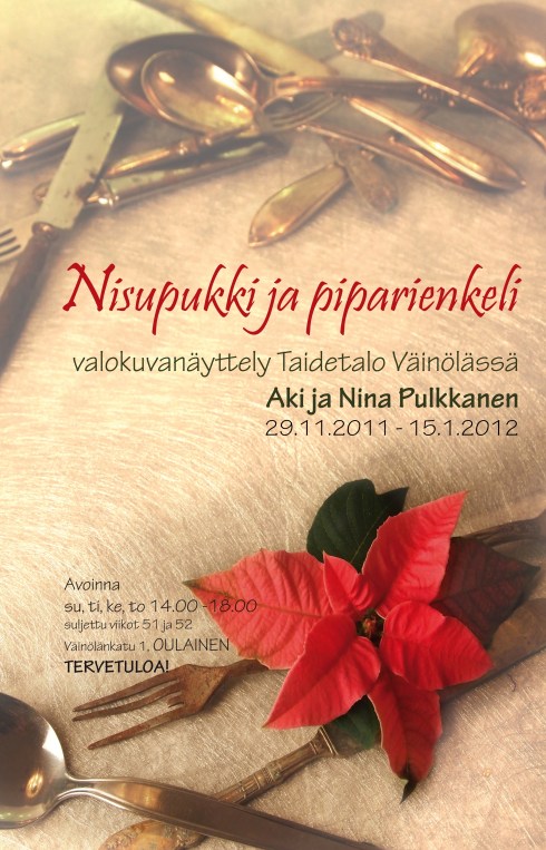 Nisupukki ja piparienkeli, Aki ja Nina Pulkkanen
