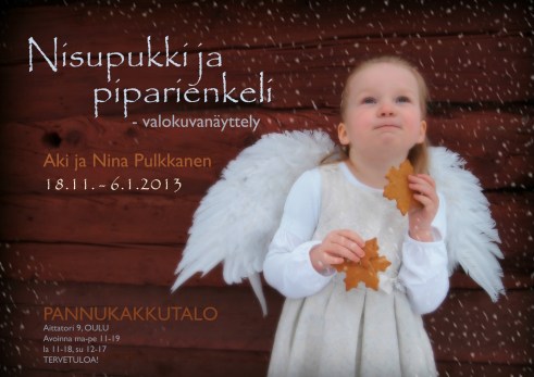 Nisupukki ja piparienkeli, Aki ja Nina Pulkkanen