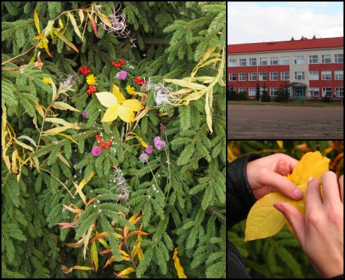 Kuvateksti Jutta ja Jenna