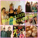 haisulikollaasi 2015